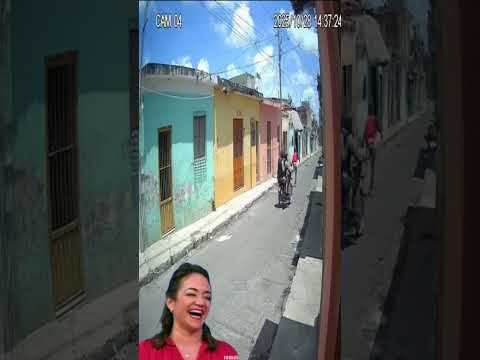 NUEVA REFORMA POLICIAL