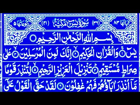 Surah Yaseen Surah Rahman || Best Qur'an Recitation || Surah Yasin full || Surah Mulk Tilawat