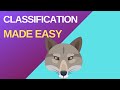 Classification of Foxes and Organisms