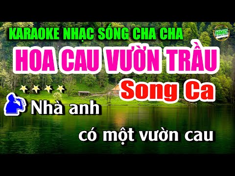 Karaoke Hoa Cau Vườn Trầu Song Ca Nhạc Sống Cha Cha Cha Dễ Hát | Nhạc Sống Minh Công