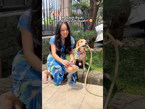 ANABUL RAJIN BANTU CUCI BUAH DAN BERDOA SEBELUM MAKAN‼️😍 #shorts  #anjinglucu