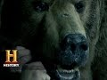 Kodiak Bear Hunting and Taxidermy Quiz