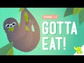 Understanding Why We Eat and How Food Affects Living Things