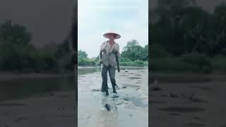 Cơn đau, Tình và Men   wmg Lunarnetwork 6a9j8