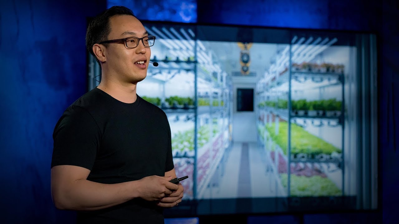 Are Indoor Vertical Farms the Future of Agriculture?