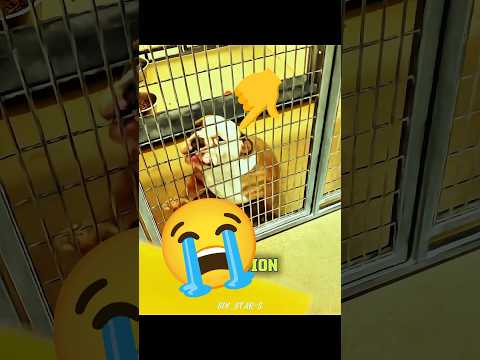 DON'T CLICK THE SOUND 😭