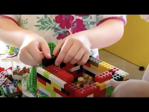 Sustainable Business: Lego’s anti-plastic plight