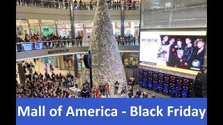 Mall of America - Black Friday