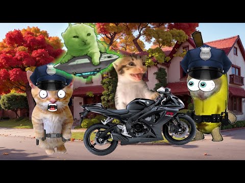BANANA CAT LIFE SERIES 🍌😺 #19
