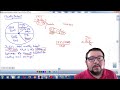 Understanding Proportions and Percentages