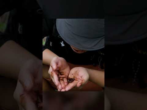เอาขีวิตรอด ในป่าลึก ระดับโปร ในสภาพอากาศเลวร้าย