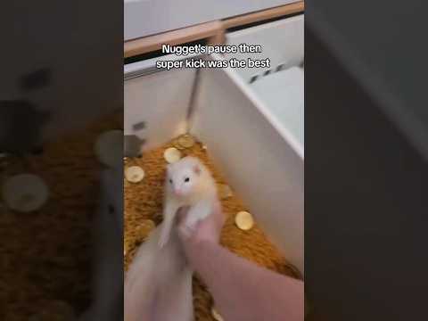 Nugget's Super Macaroni Kick