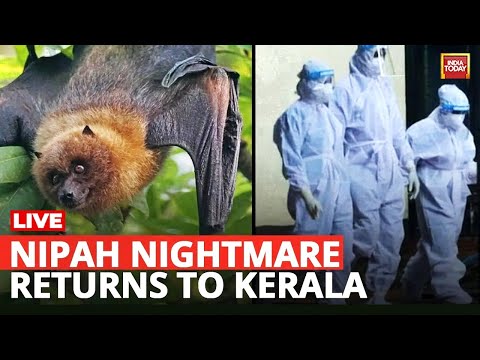 Nipah Virus Death in Kerala LIVE: Palakkad Resident Dies Amid Outbreak Fears | India Today LIVE