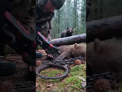 HERO Rescue: Ranger Frees Bear Cub From Poacher's Trap! 🐻😭