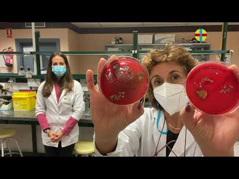 Semana-ciencia - Videos - Bacterias de la piel: ¿aliadas o enemigas?