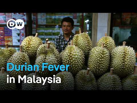 A Spiky Delicacy Sees Explosive Sales Boost from China | DW News