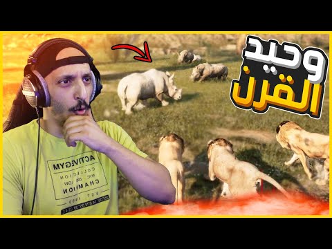 انميليا سيرفايفل #3 | معركة طاحنة بين زمرة الأسود وقطيع وحيد القرن Animalia Survival