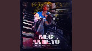 Neg Andeyo