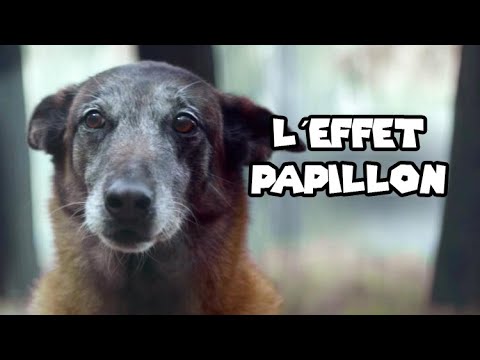 Le jeu le plus triste du monde..