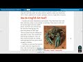 Crayfish Behavior and Anatomy
