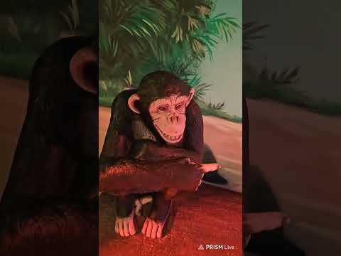 Les origines du dessin animé bordeaux