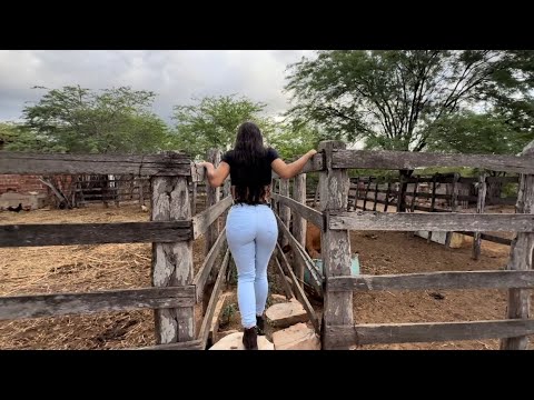 FRENTISTA QUIS SUBIR EM CIMA DA VACA!
