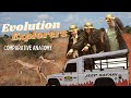 Evolutionary Biology Concepts and Structures
