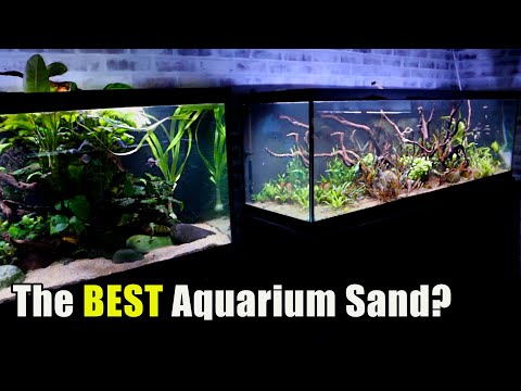 Our Favorite Aquarium Sand! Red Flint Sand Review