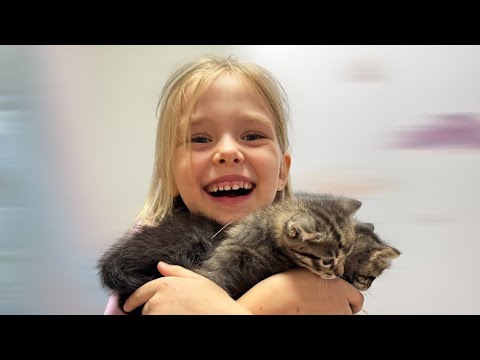 🐈⬛ПІДРОСЛИ #дитячийконтент #дитячі #дитячіісторії