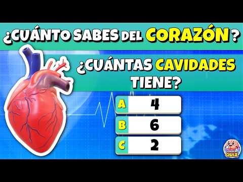 ¿Cuánto Sabes del "CORAZÓN HUMANO"? 🫀🤔| TEST SOBRE EL CUERPO HUMANO| Trivia/Quiz