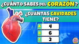 ¿Cuánto Sabes del "CORAZÓN HUMANO"? 🫀🤔| TEST SOBRE EL CUERPO HUMANO| Trivia/Quiz