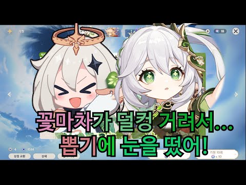 ♥나히다 성우님♥과 나히다 뽑기