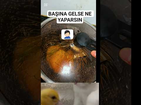 SEN OLSAN NE YAPARSIN #viralvideo #kesfeteyyiz #shortsfeed #shorts #shortvideo #short #tiktok