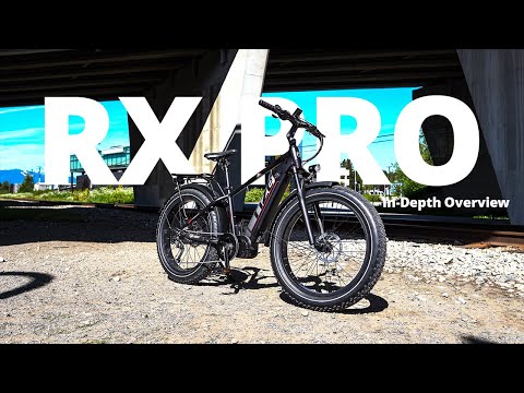 RX Pro | In-Depth Overview
