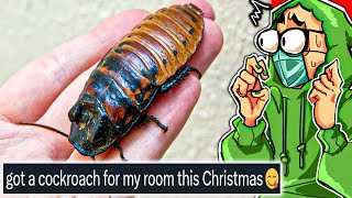 Your Christmas Gifts are Disturbing