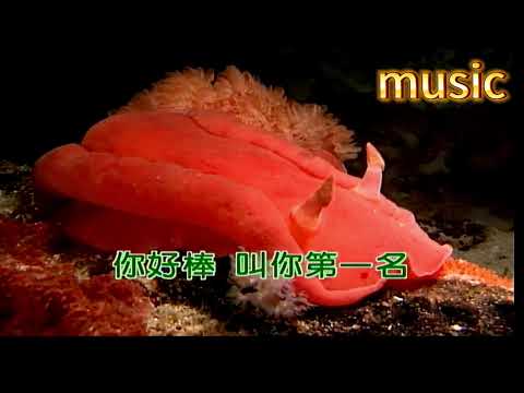 阿啾箭尾鉈鉈~客語KTV 伴奏 no vocal 無人聲 music 純音樂 karaoke 卡拉OK 伴唱阿啾箭尾鉈鉈~客語