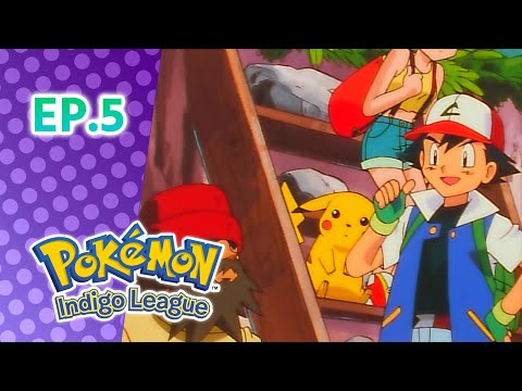 Pokémon: Indigo League భాగం 5: Showdown in Pewter City | Pokémon Asia Official (Telugu)