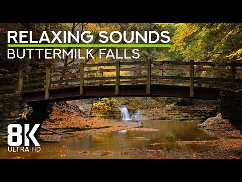 Calming Forest Waterfall Ambience with Stream Flowing Sound - 8K Buttermilk Falls State Park, NY