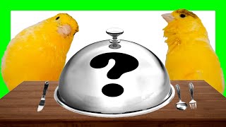 🔴 Qué Puede COMER un CANARIO? ✅ Y qué NO ❌