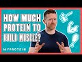 Protein Intake and Muscle Growth