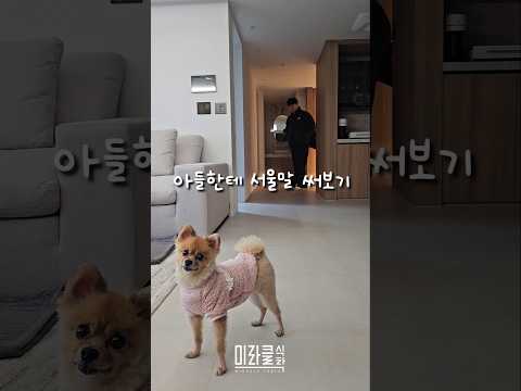서울말은 어떻게 하는거에여?