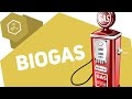 biogas/