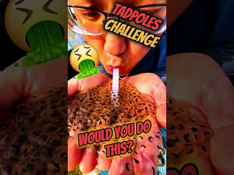 Would you..? #ytshorts #shorts #tadpoles #rescue
