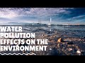 Exploring the Impact of Water Pollution on Ecosystems