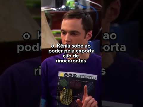 E se os rinocerontes fossem animais doméstico #thebigbangtheory