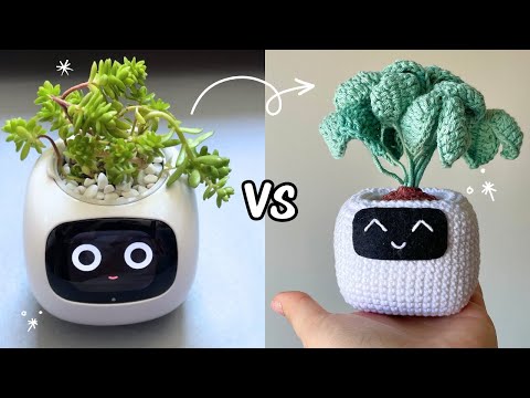 Maceta Tejida vs Maceta Inteligente 🪴@plantsioivy |  By Hebras Crochet