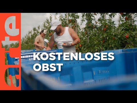 Der Food-Aktivist und die Obstbauern (1/2) I Village X | ARTE