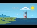 Exploring the Water Cycle and Rain Formation