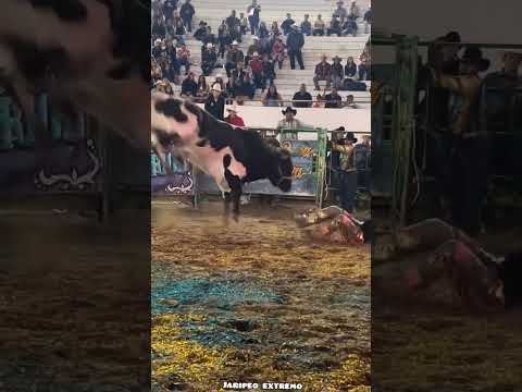 JARIPEO EXTREMO🐂🔥 #jaripeo #shorts