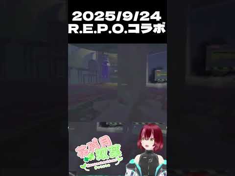 thumbnail_zBtZ436-pTA